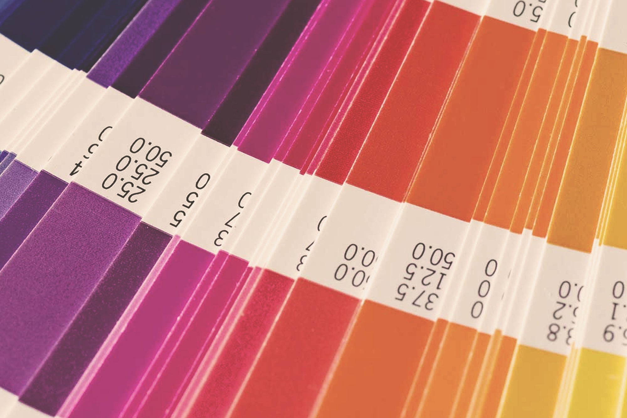 What is a Pantone color and why are they used?