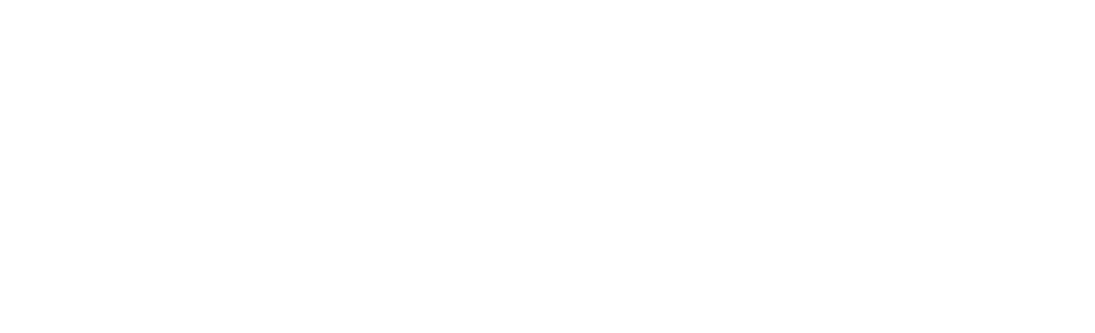 Next Level logo